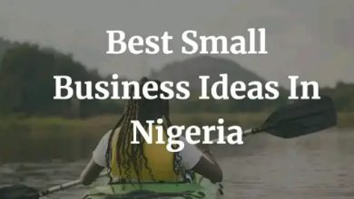 Business Ideas You Can Do In Nigeria