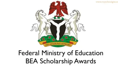 Study Abroad with the FG BEA Scholarship 2024 | Apply Now!
