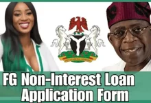 GEEP IYALOJA Market Trader Loan | Tips For Successfully Apply