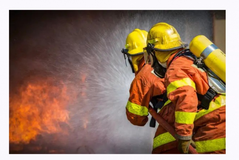 Download Federal Fire Service Guarantor Form 2024
